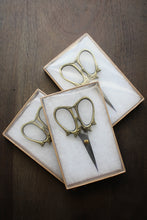 Load image into Gallery viewer, Squirrel Scissors