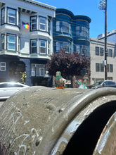 Load image into Gallery viewer, Pigeon Hair Claw