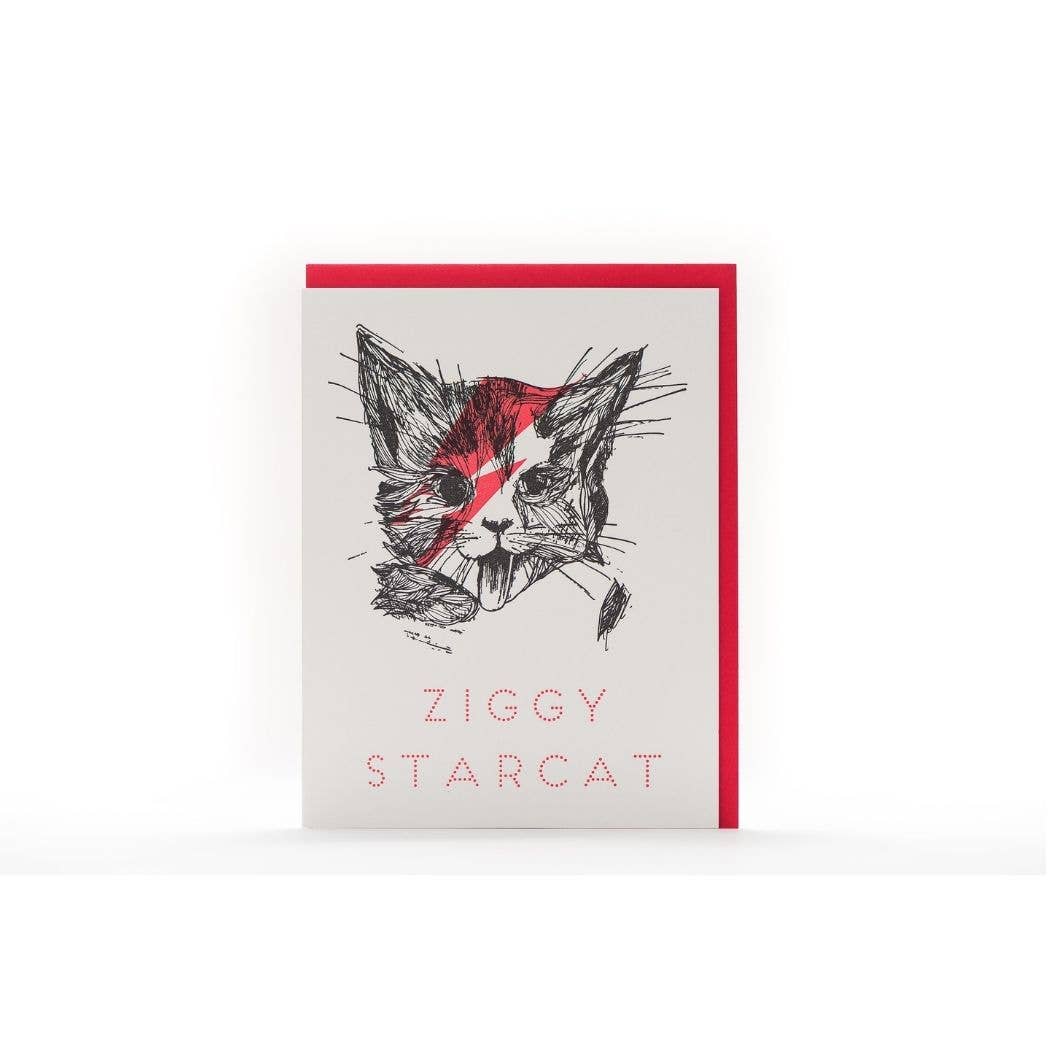 Ziggy Star Cat Card
