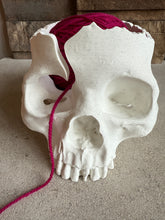 Load image into Gallery viewer, Gothic Skull Yarn Holder - 3D Printed: Marble White
