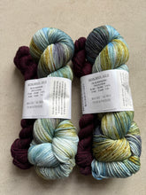 Load image into Gallery viewer, Halloween 2025 SAW Sock Set
