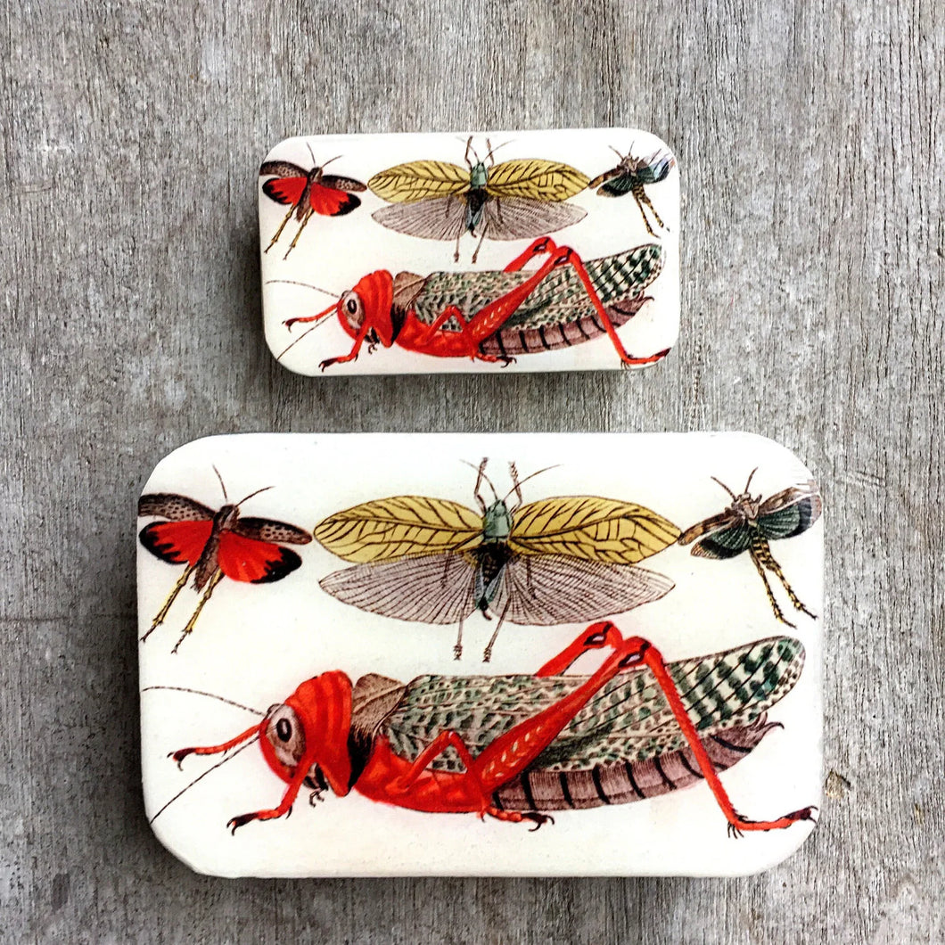 Small Cricket Notions Tin